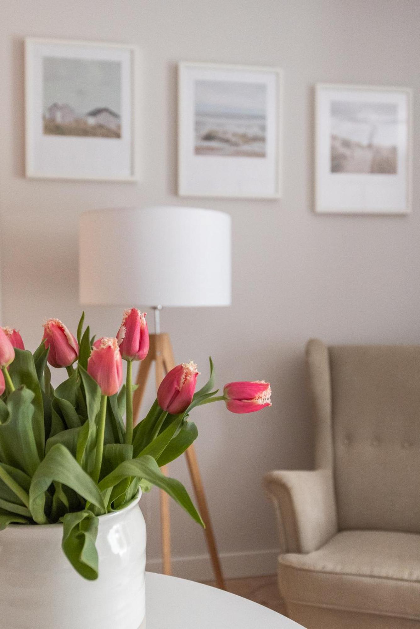 Hygge Island Apartment Gdansk